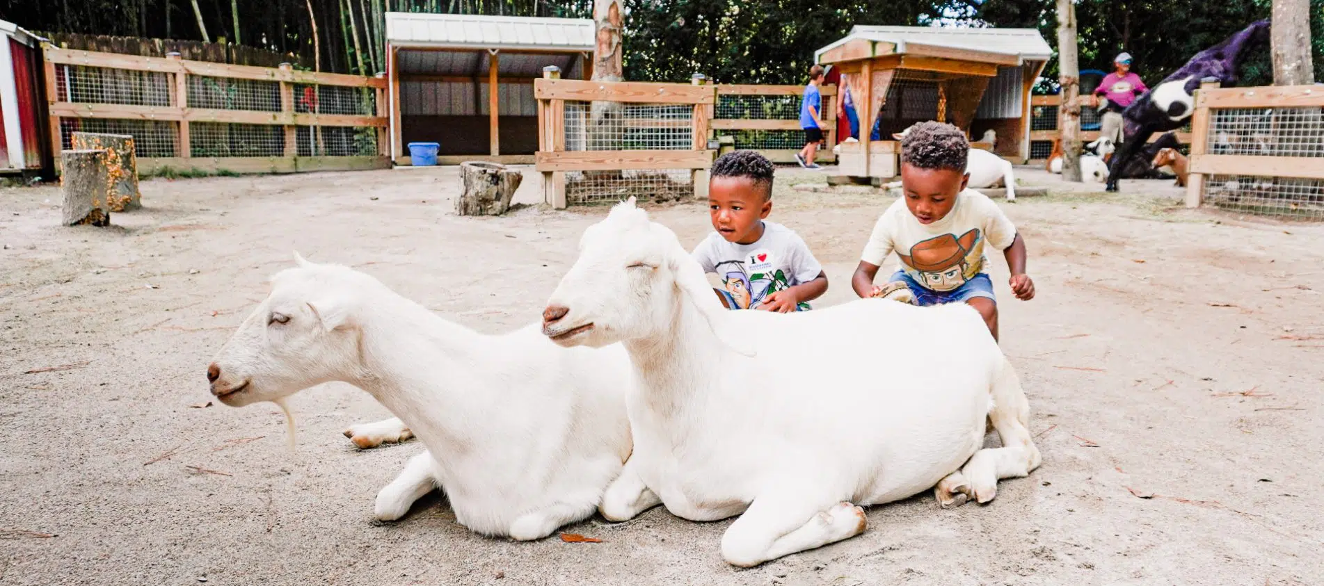 Columbia South Carolina Family Trip