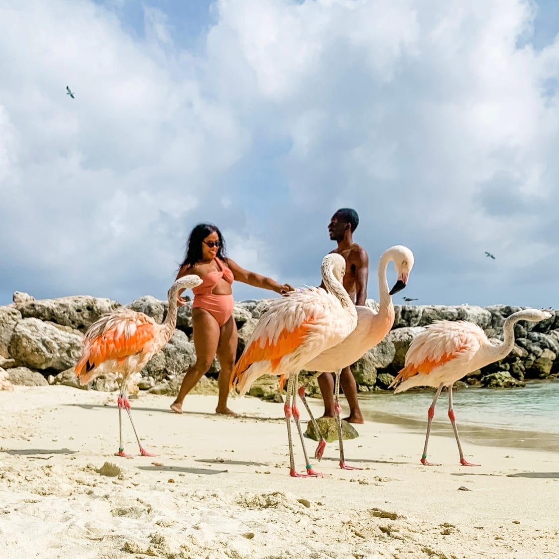 What Language Do They Speak in Aruba? Do They Speak English? - The ...