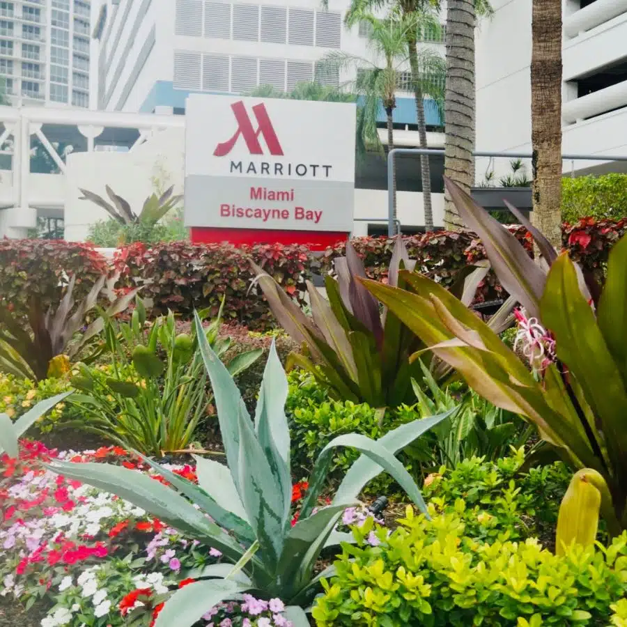Tropical landscaping in front of the Marriot Miami Biscayne Bay. 