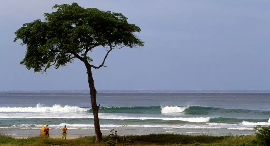 Surfers about to hit the waves atPlaya Langosta in Costa Rica
