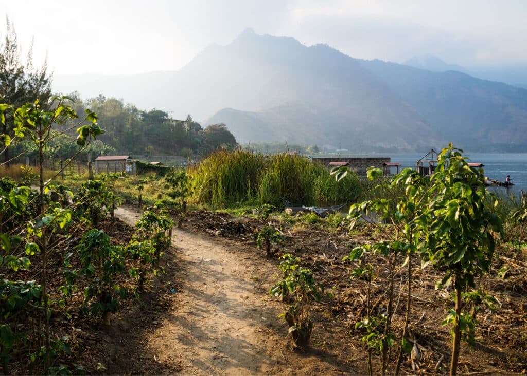 Shoreline of Lake Atitlan from the village of San Pedro La Laguna