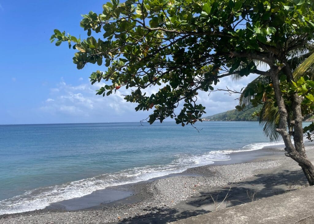 A beautiful and empty beach in Grenada.