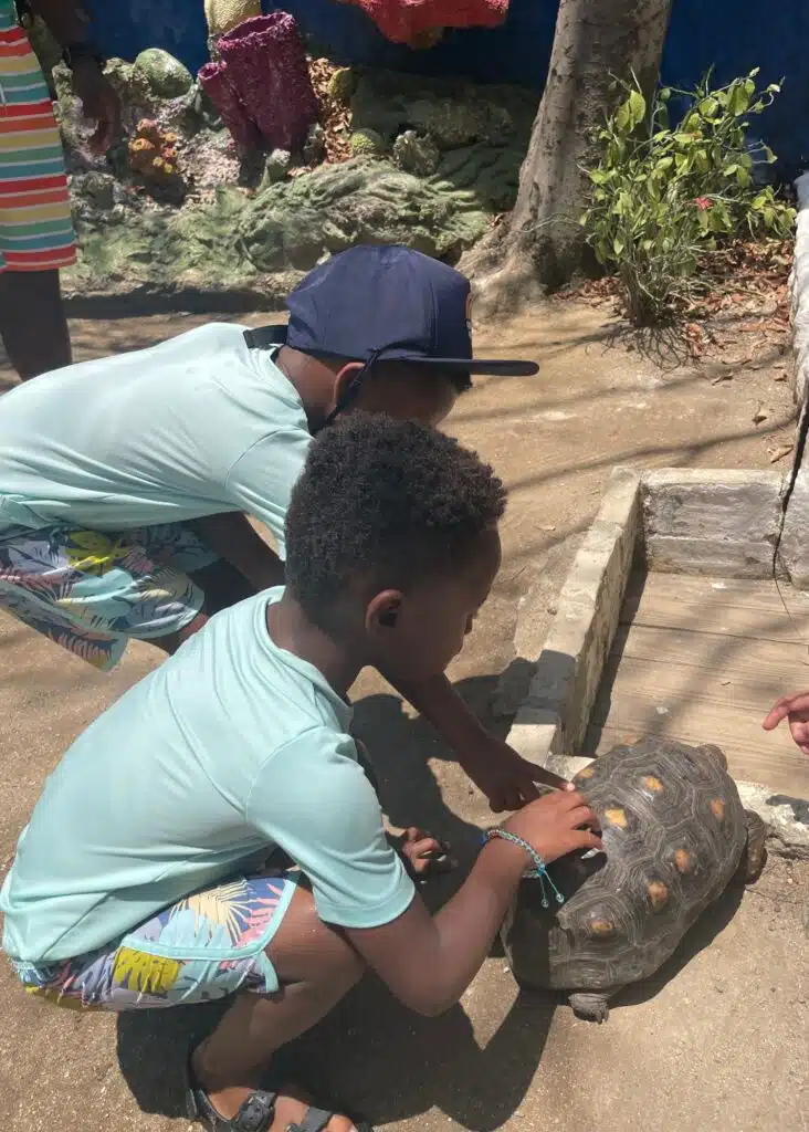 The twins petting a turtle.