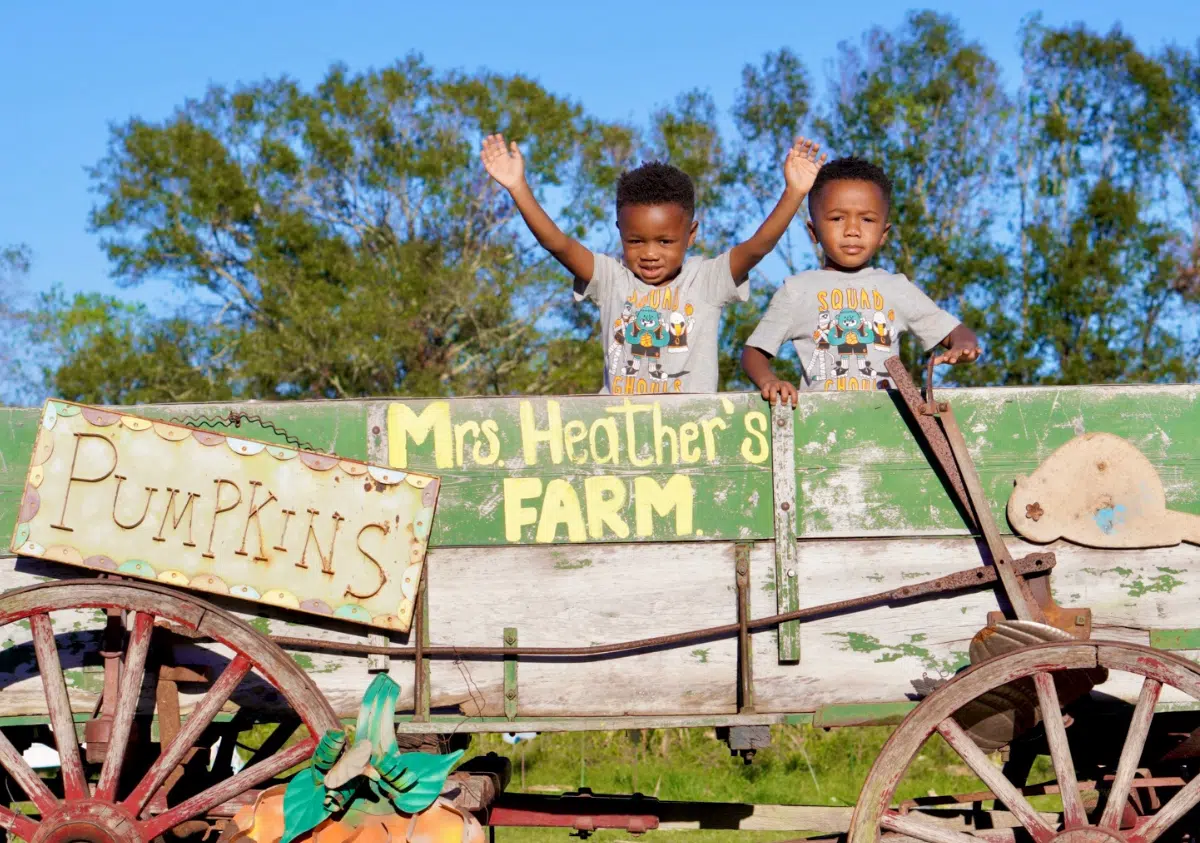 Fall in New Orleans: 29 Best Things to Do in October (From a Local)