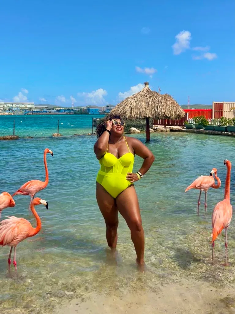 Standing with Flamingos at De Palm Island in Brazil.