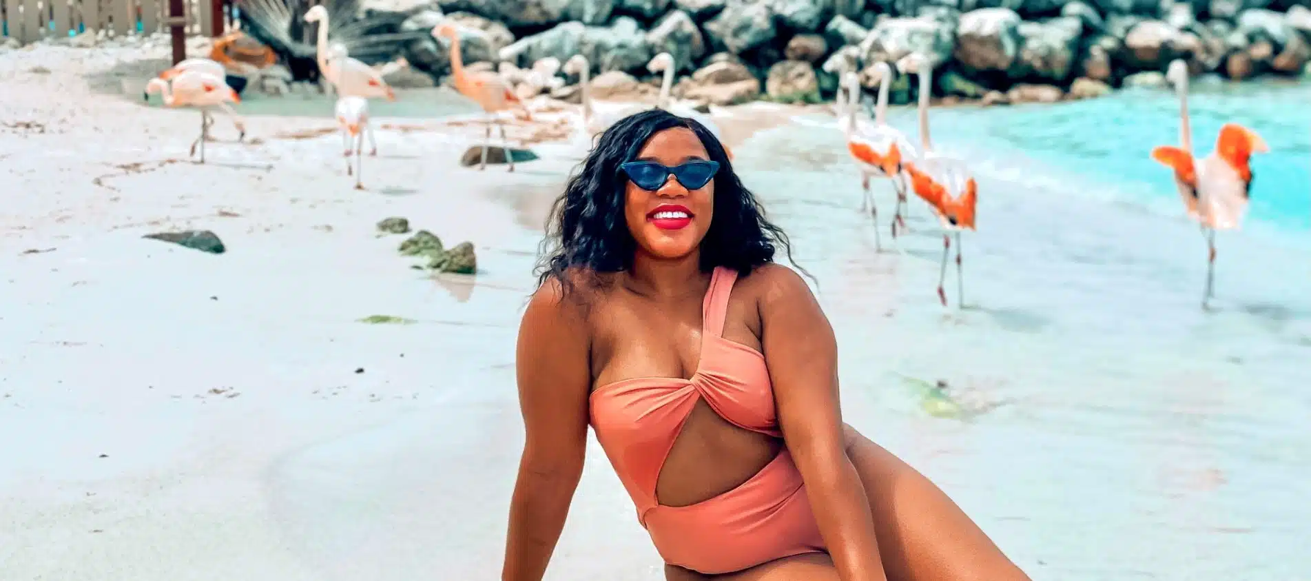Flamingo Beach Aruba: Renaissance Flamingo Island vs. De Palm Island?