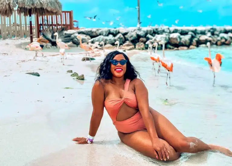 Flamingo Beach Aruba: Renaissance Flamingo Island vs. De Palm Island?