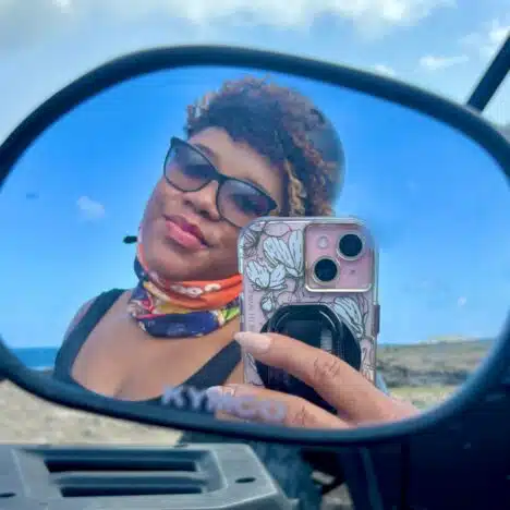 Flamingo Beach Aruba: Renaissance Flamingo Island vs. De Palm Island?