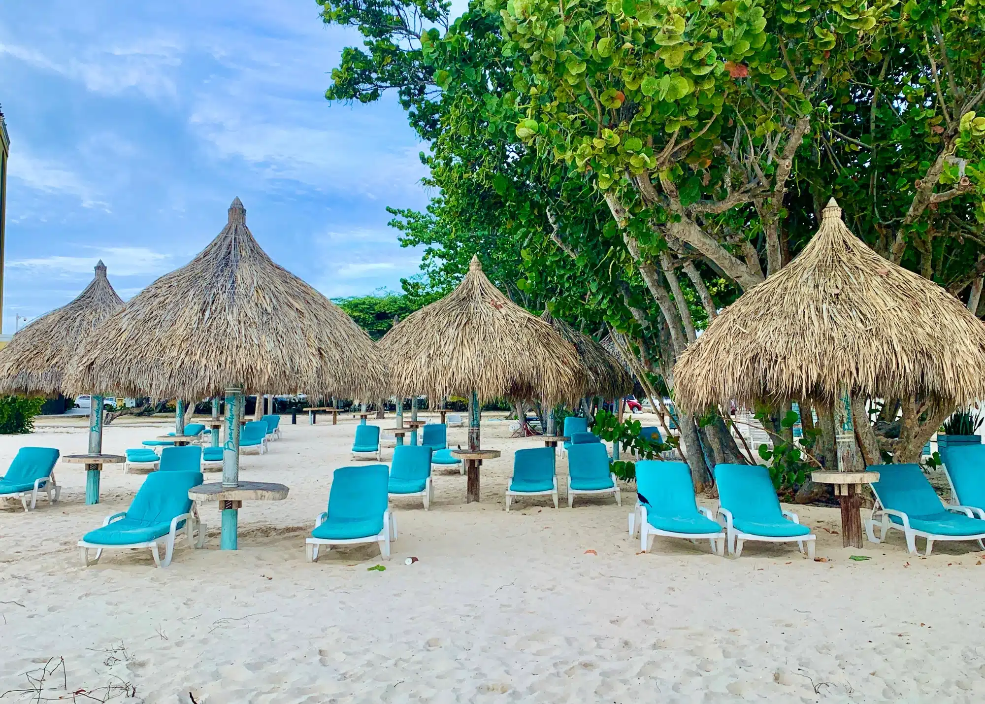 Rows of palapa-style thatched umbrellas and turquoise lounge chairs sit on the white sand of Palm Beach in Aruba, bordered by lush green trees.