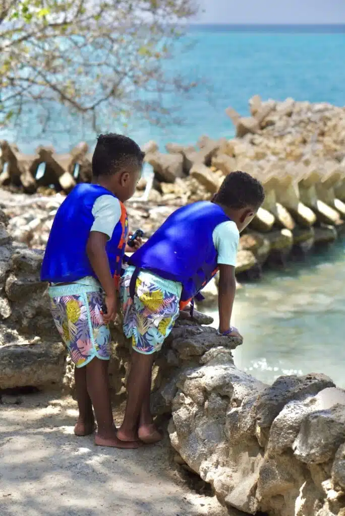 Twin toddlers wearing blue life jackets peeking over the ridge into the ocean