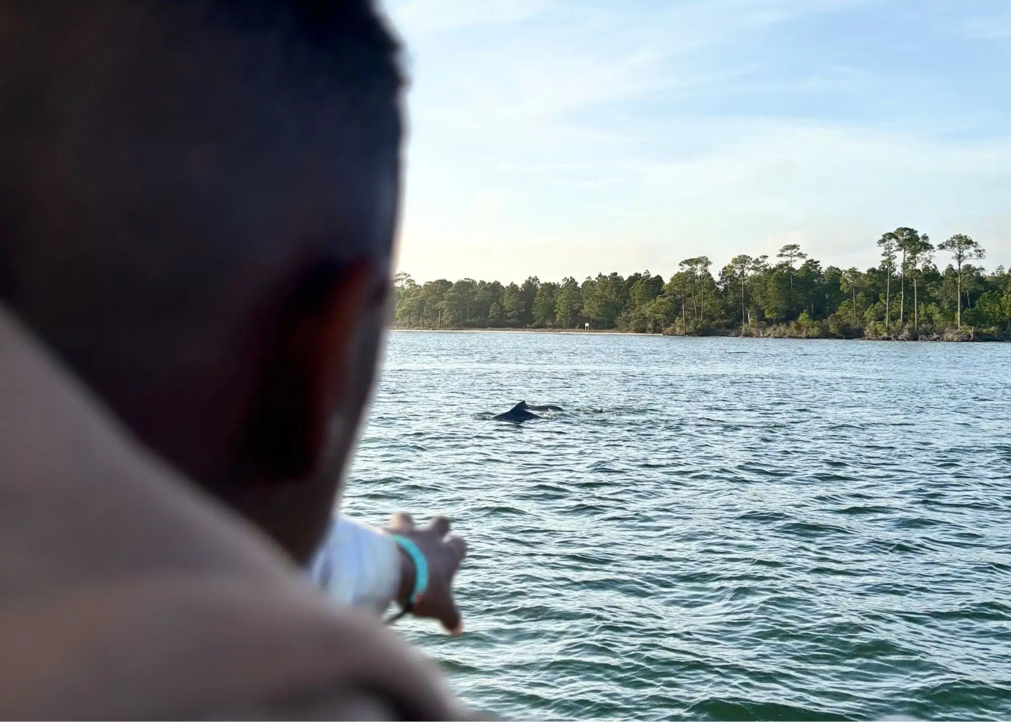 One of Marquita’s sons points toward a dolphin surfacing in the water during their dolphin watching cruise. A tree lined shoreline stretches across the background.